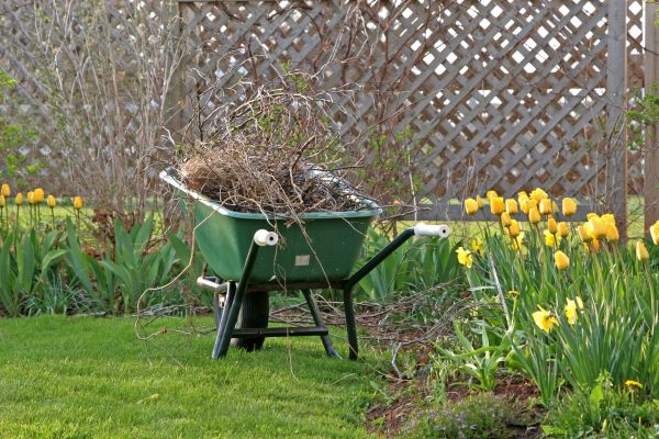 Flower Bed Cleanup Service in Lexington