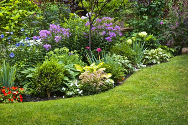 Flower Bed Service in Lexington