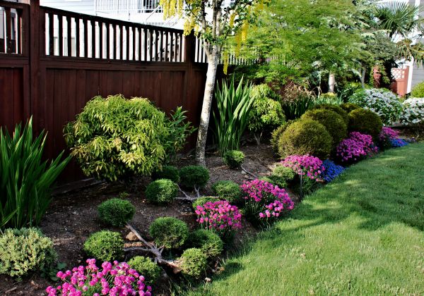Garden Care Service in Lexington