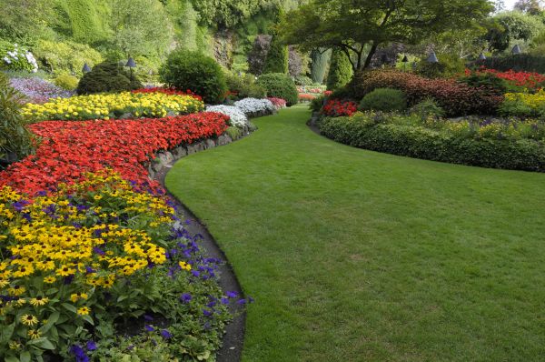 Landscaping Maintenance in Lexington