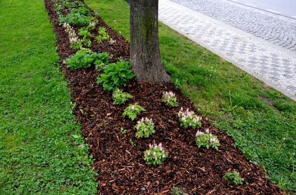 Mulch Replacement Service in Lexington