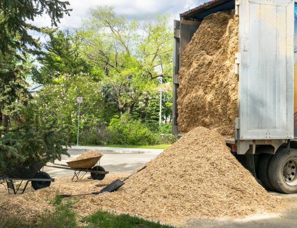 Wood Chips Delivery in Lexington
