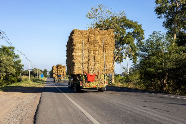 Pine Straw Delivery in Lexington