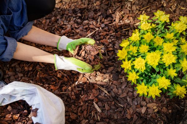 Garden Mulching in Lexington