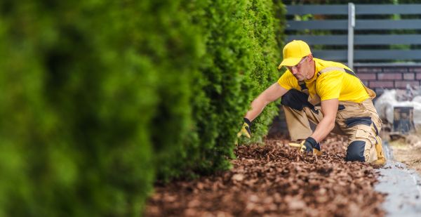 Cypress Mulch Installation in Lexington