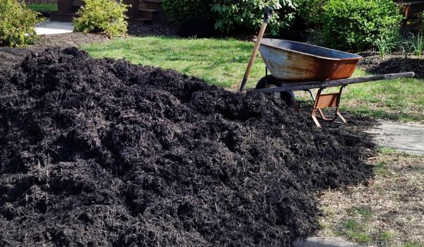 Black Mulch Installation in Lexington