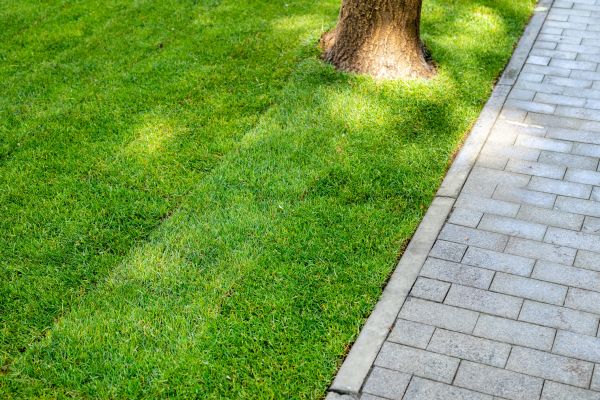 Border Stone Installation in Lexington