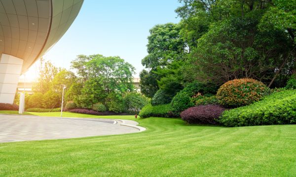Business Landscape Design in Lexington