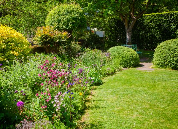 Yard Landscaping Service in Lexington