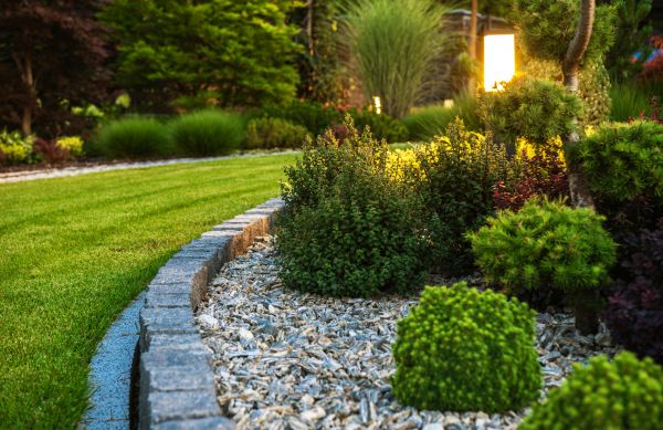 Landscaping Service in Lexington
