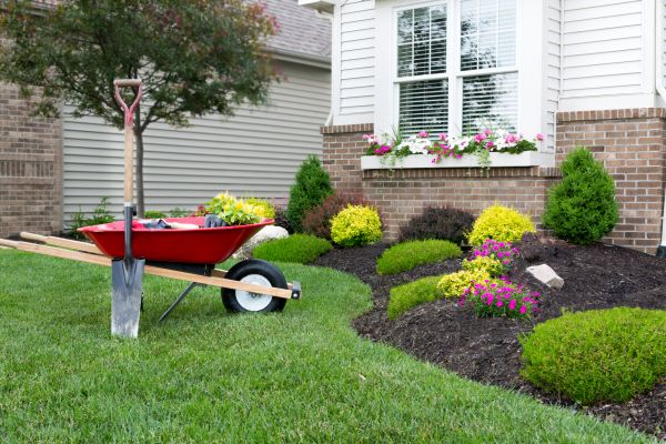 Tree And Shrub Planting in Lexington