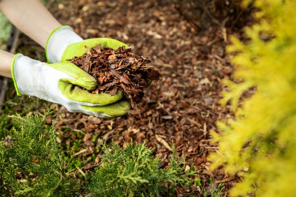 Garden Mulch Delivery in Lexington
