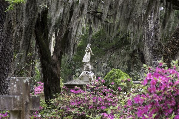 Cemetery Landscaping in Lexington