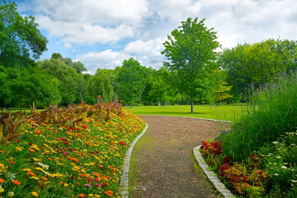 Park Landscaping in Lexington