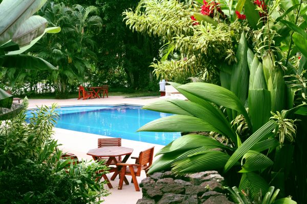 Tropical Garden Landscaping in Lexington