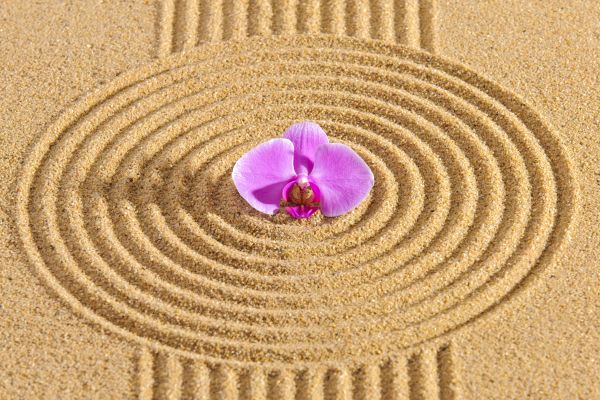 Sand Garden Landscaping in Lexington
