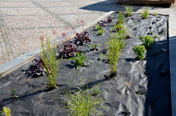 Landscape Fabric Installation in Lexington