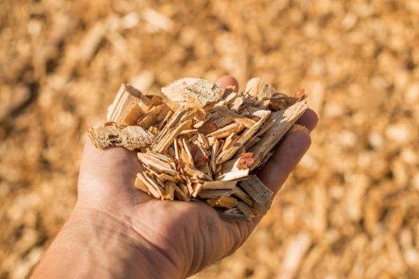 Wood Chips Spreading in Lexington