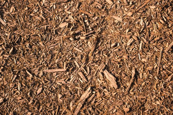 Wood Chips Removal in Lexington