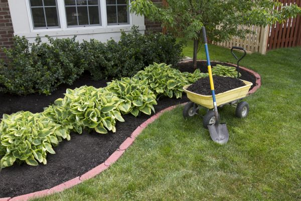 Landscape Mulching in Lexington