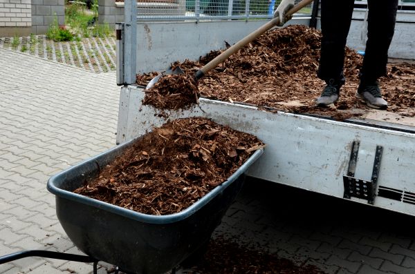 Playground Mulch Delivery in Lexington