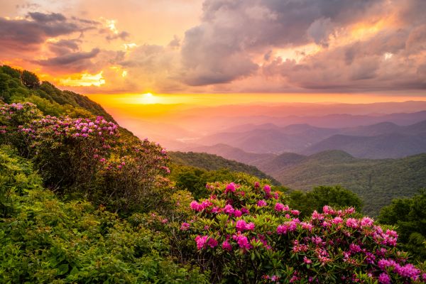 Hill Landscaping in Lexington