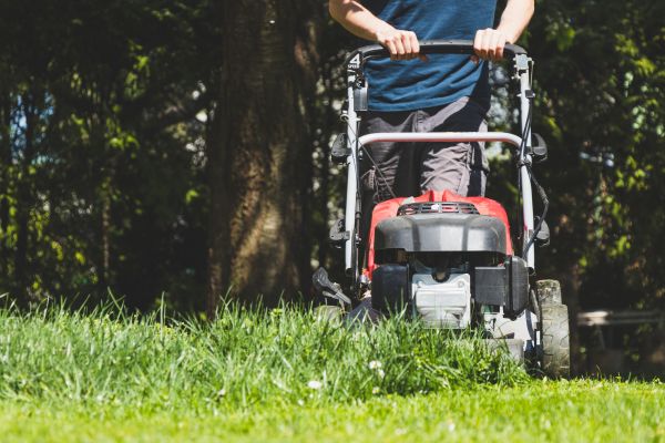 Garden Trimming Service in Lexington