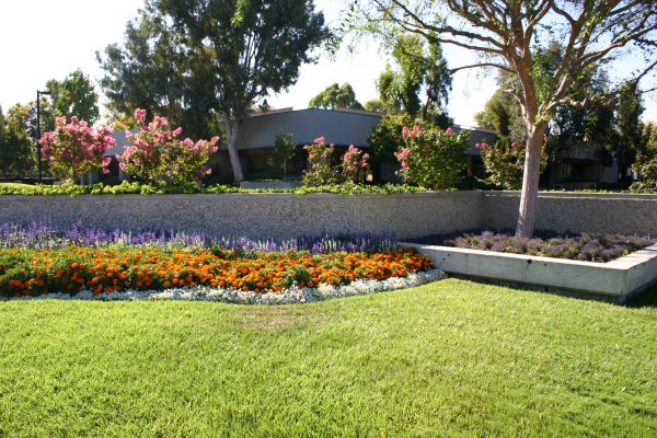 Commercial Landscape Service in Lexington