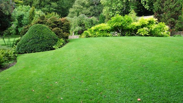 Commercial Landscape Design in Lexington