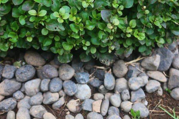 River Stone Installation in Lexington