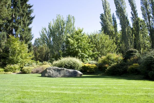 Yard Enlargement in Lexington