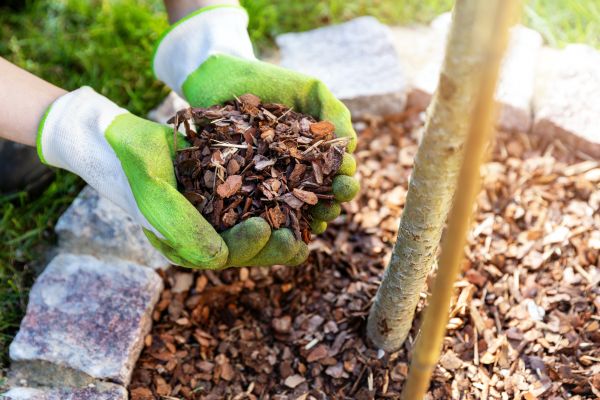 Tree Bark Delivery in Lexington