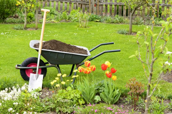 Spring Yard Renovation in Lexington