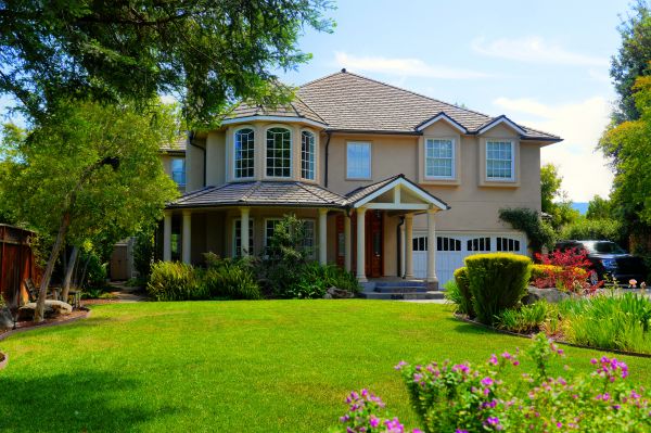 Large Yard Landscaping in Lexington
