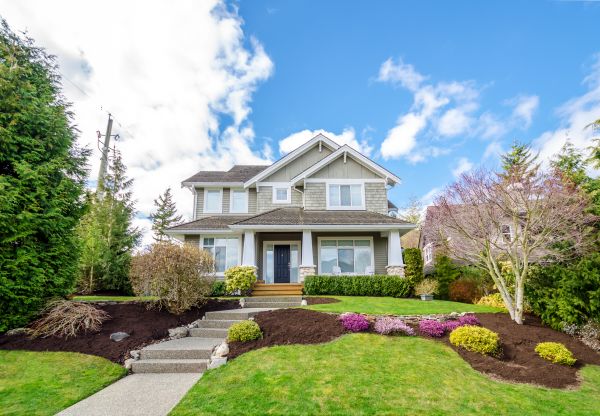 Landscaping Replacement in Lexington