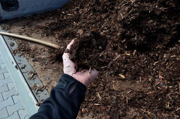 Condo Mulching in Lexington