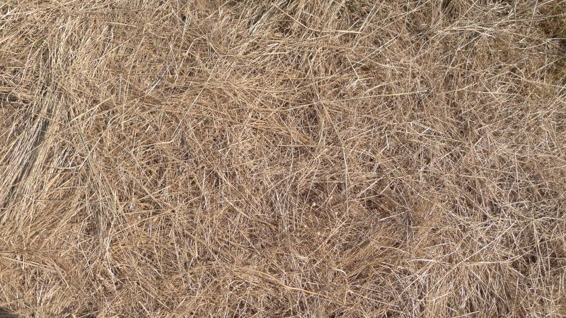 Straw Mulching Service